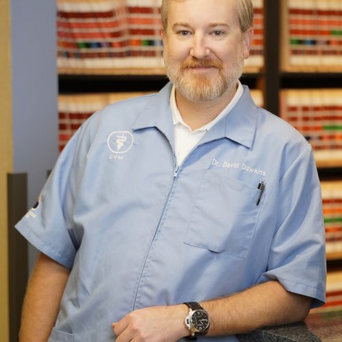 David M. Dawkins II, DVM, MADS
